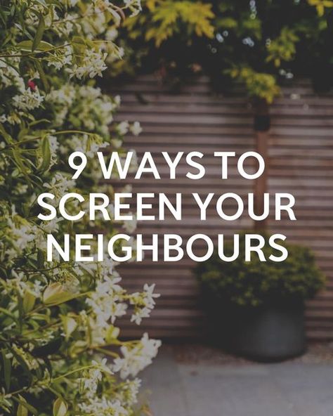 Andy Stedman Design on Instagram: "9 ways to screen your neighbours, over looking windows and ugly views 🌿 #screening #privacy #gardenprivacy #gardenscreening #gardenideas #gardenispiration #gardendesigner #gardenexpert" How To Hide A Bad View Out Your Window, Overlooked Garden Privacy Ideas, Backyard Privacy Ideas From Neighbors, Window Arbor, Narrow Backyard Ideas, Window Privacy Screen, Garage Windows, Privacy Screening, Privacy Blinds