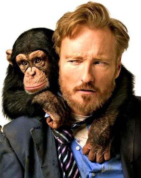 Punched by a monkey-Funniest Conan O'Brien moments Funny Man Pictures, Albert Schweitzer, 10 Funniest, Guy Pictures, Famous Faces, Pictures Images, New Shows, Om Nom, Man Humor