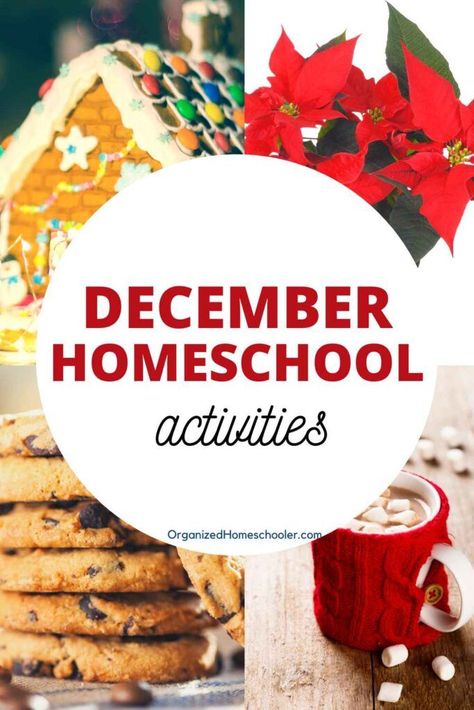 December Homeschool, Silly Holidays, December Lessons, Homeschool Holidays, National Cookie Day, Homeschool Lessons, Cult Of Pedagogy, Winter Activities For Kids, Homeschool Lesson