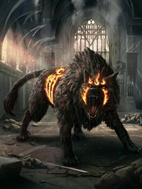 Werewolf Lup Singuratic, Mystical Animals, Fantasy Wolf, Werewolf Art, Wolf Wallpaper, Albrecht Durer, Fantasy Animals, Fantasy Beasts, Skull Wallpaper