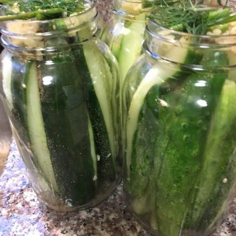 Homemade Apple Cider Dill Pickles - Uncategorized | Healthy Alyona Apple Cidar Vinegar, Pickled Apples, Homemade Apple Cider Vinegar, Canning Apples, Cucumber Gardening, Dill Pickle Recipe, Dill Pickle Chips, Canning Pickles, Homemade Apple Cider