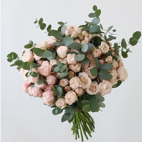 Spray Rose Bouquet, Spray Roses Bouquet, Cabbage Rose Bouquet, Eucalyptus Bouquet, Pale Pink Roses, Online Flower Delivery, Best Flowers, Genesis 2, Hand Bouquet