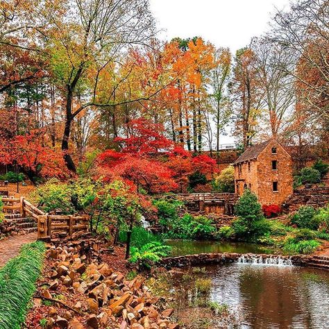 Rock Landscape, Arkansas Travel, Hot Springs Arkansas, Little Rock Arkansas, Travel Landscape, Amazing Pictures, Fall Photos, Hot Springs, Fall Autumn