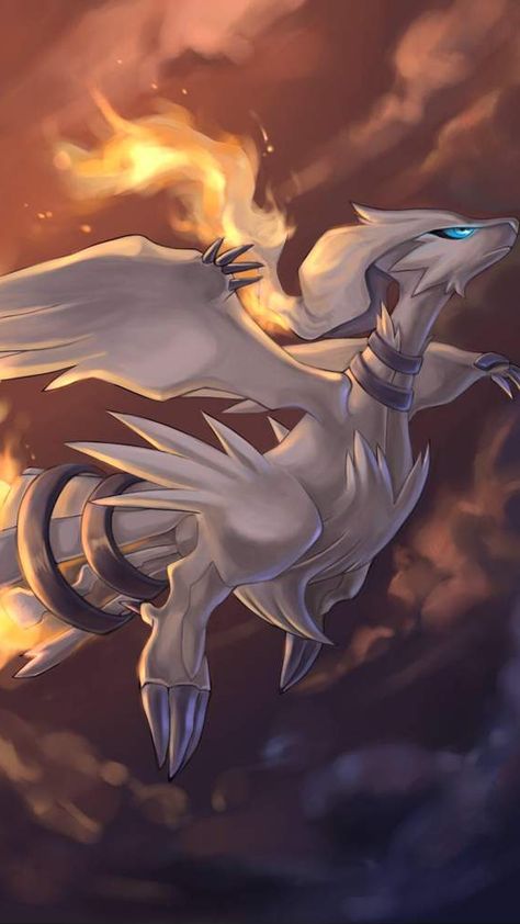 It's Reshiram, the Vast White Pokemon. Along with Zekrom and Kyurem, it's a member of the Tao trio, which exists in the legends of the Unova region, and represents yin. It has a jet engine-like tail, which it uses to accelerate itself when flying at high speeds. It can send flames from its tail into the air to incinerate everything around it. In Unova mythology, it sided with the older brother who sought the truth, so it believes in truth and helps those who want to build a world of truth. Luxray Pokemon, Rayquaza Pokemon, Strongest Pokemon, Kartu Pokemon, 3d Pokemon, Fire Pokemon, Solgaleo Pokemon, Dragon Type Pokemon, Pokemon Dragon