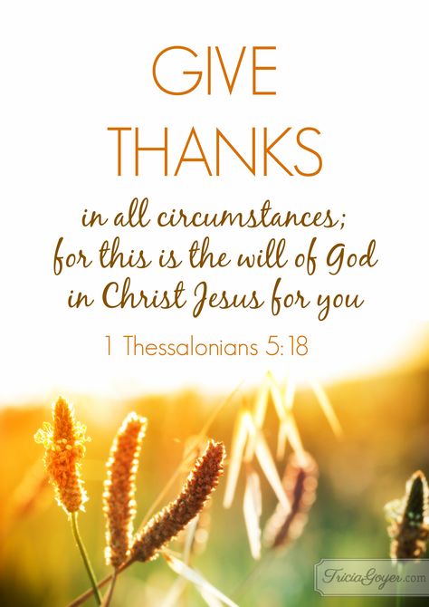 1 Thessalonians 5:16-18 (NKJV) ~~ Rejoice always, pray without ceasing, in everything give thanks; for this is the will of God in Christ Jesus for you. Give Thanks In All Circumstances, Feeling Unappreciated, Woord Van God, In Everything Give Thanks, Thankful Quotes, 1 Thessalonians 5, Ayat Alkitab, Thanksgiving Quotes, 1 Thessalonians