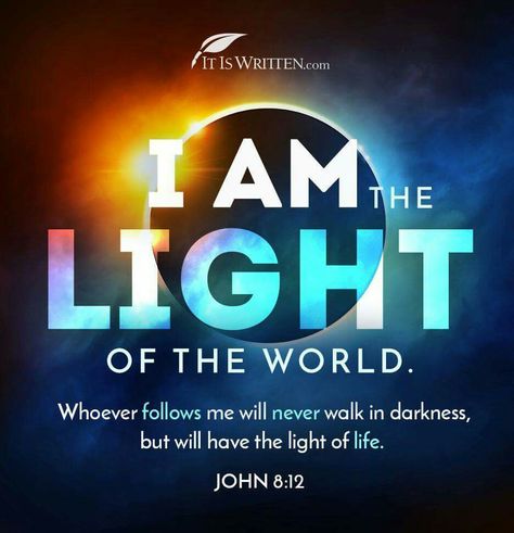 John 8:12 Geneva Bible, I Am The Light, John 8 12, Protestant Reformation, Love Truths, Bible Motivation, Women Of Faith, Light Of The World, Light Of Life