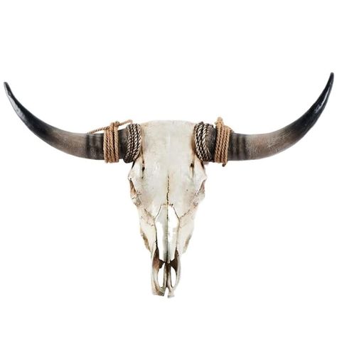 PRICES MAY VARY. ☀ Long Horns Cow Skull Wall Decor: Authentic skulls and highest quality carvings. We hand select each skull and work directly with talented artisans with years of specialized training to ensure your longhorn skull wall decor is an incomparable piece of decor ☀ Handicrafts & Animal Protection: Looking for an exotic wall decor to add flavor to your room? Look no further with this high quality wall plaque!!! It is not a real steer skull so no cow was hurt during its production! ☀ U Cow Horns Decor, Cow Skull Wall Decor, Painted Cow Skulls, Cow Skull Decor, Cow Skull Art, Skull Hanging, Long Horns, Horns Decor, Skull Wall Decor