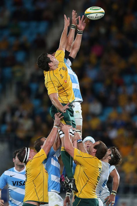 Dave Dennis of the Australian Wallabies reaches for a lineout during the Rugby Championship match between the Australian Wallabies and Argentina at Skilled Park on September 15, 2012 on the Gold Coast, Australia. Australia Rugby, Rugby Boys, All Blacks Rugby, Rugby Men, Six Nations, Australia Vacation, All Blacks, Rugby World Cup, Rugby Union