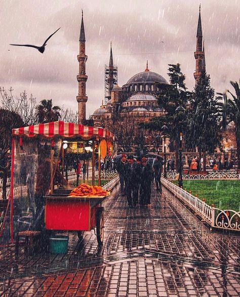 Istanbul, Tourism Design, Istanbul Turkey Photography, Jalaluddin Rumi, Istanbul Turkey, Rainy Days, Wonderful Places, Rainy Day, Paris Skyline, Istanbul