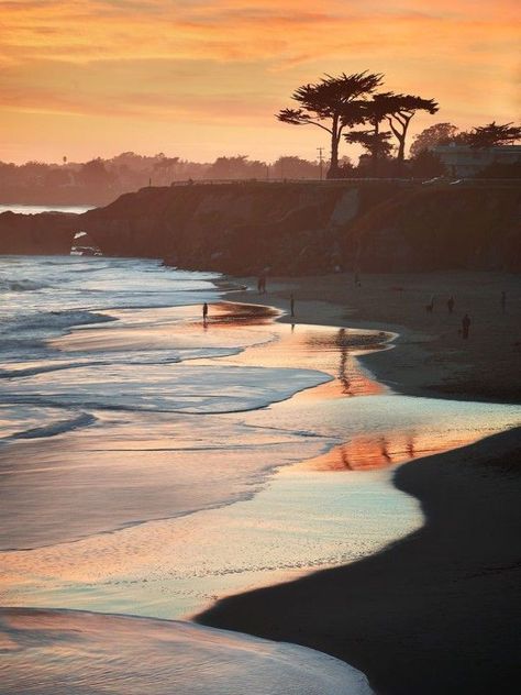 Honeymoon Spots, Santa Cruz California, Best Honeymoon, Sun Goes Down, Drive In, Places Around The World, Dream Vacations, Beach Trip, Bay Area