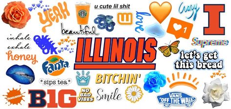 University of Illinois Urbana-Champaign Clutter Collage Computer Background by Jamni Green University Of Illinois Urbana Champaign, Computer Background, Urbana Champaign, University Of Illinois, Computer Backgrounds, Photo Store, Fill Light, Lens Flare, Color Effect