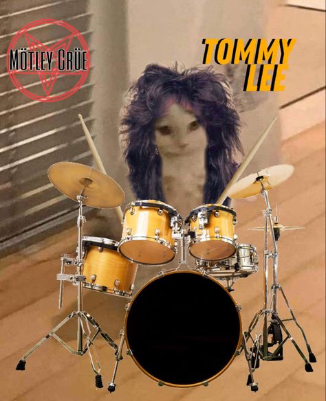 Tommy Lee Wallpaper Aesthetic, Funny Rockstar Photos, Tommy Lee Funny, Motley Crue Pfp, Motley Crue Aesthetic, Motley Crue Wallpaper, Circus Aesthetic, Emo Boyfriend, Pam And Tommy