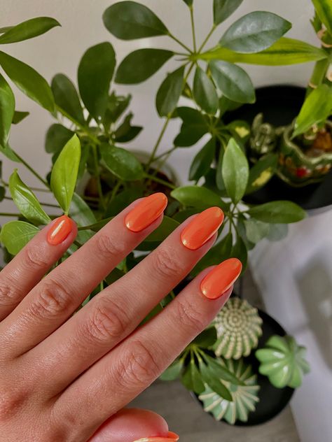 Orange Winter Nails, Orange Chrome Nails Fall, Orange Chrome Nails, Orange Fall Nails, Orange Chrome, Holloween Nails, Spring Break Nails, Broken Nails, Nails Aesthetic