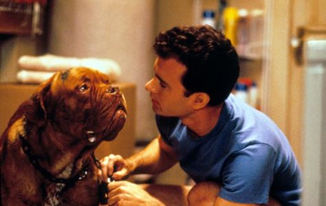 Pin for Later: What's New on Netflix? Our Picks For the Month of August Turner & Hooch Turner And Hooch, Forrest Gump 1994, Best Actor Oscar, Sheriff Woody, French Mastiff, Famous Dogs, Bill Murray, Musical Comedy, Jack Nicholson