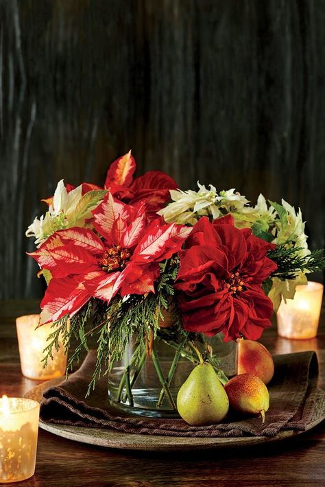 Cut Poinsettia Arrangement Amaryllis Christmas, Poinsettia Care, Poinsettia Plant, Festive Centerpieces, Holiday Greenery, Christmas Plants, Christmas Table Centerpieces, Country Christmas Decorations, Christmas Greenery