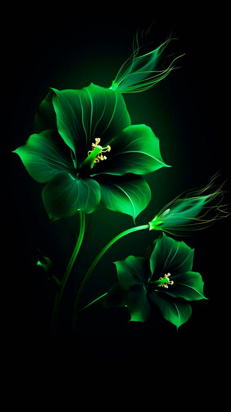 Green Flowers iPhone Wallpaper 4K - iPhone Wallpapers Flowers Iphone Wallpaper, Iphone Wallpaper 4k, Eyeless Jack, Beautiful Flowers Images, Beautiful Butterflies Art, Iphone Wallpaper Hd Nature, Lovely Flowers Wallpaper, Android Wallpaper Flowers, Flower Iphone Wallpaper