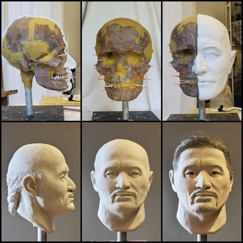 Facial reconstruction by Gábor Emese sculptor #facialreconstruction #arcrekonstrukció Epq Ideas, Facial Reconstruction, Forensic Science, Forensic, Sculptor, Greek Statue, Lion Sculpture, Facial, Science