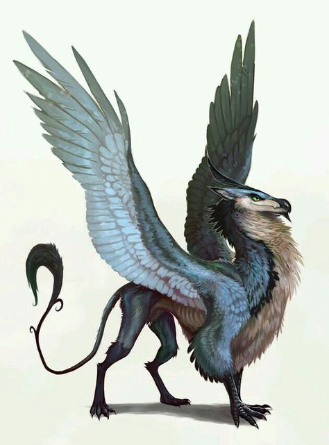 Griffin concept art Mythical Animal, Fantasy Beasts, Mythical Beast, Fantasy Monster, Mythical Creatures Art, Mythological Creatures, Monster Design, Mystical Creatures, Bird Drawings