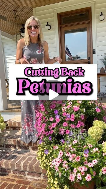 Tracy Crosland 🌸 on Instagram: "Do you cut back your petunias? 🌸🌸🌸

I filmed this last summer so the last clip is 3 weeks after I trimmed my petunias. 🤗 They exploded after that. 💥 So trim your petunias back, put in some slow release fertilizer, and water. 💦 I try to use liquid fertilizer once a week. 🥳

Have you trimmed your petunias back already? 🌸🌸🌸

#petunias #containergardening #containergardens #flowergardening #gardening #pruning #homeandgarden #beginnergardener #countryliving" Liquid Fertilizer, Lavender Color, Gardening For Beginners, I Try, Petunias, Container Gardening, 3 Weeks, Flower Garden, Lavender