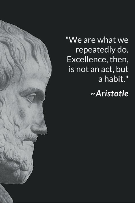 We Are What We Repeatedly Do, Aristotle Wallpaper, Aristotle Quotes Philosophy, Mind Transformation, Aristotle Philosophy, Sage Archetype, 2024 Mindset, Excellence Is A Habit, Pictures With Meaning