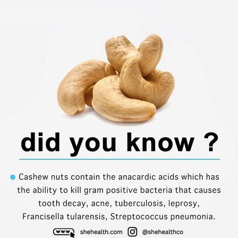 Cashew Nuts Benefits, Nuts Benefits, Nut Benefits, Nutritional Cleansing, Food Health Benefits, Did You Know Facts, Women Health, Cashew Nut, Eat Smart