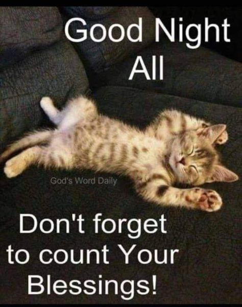 Night Humor, Gud Night, Jonathan Frid, Goodnight Messages, Goodnight Quotes Inspirational, Good Night Sweetheart, Good Night Cat, Good Night Dear, Cats Paw