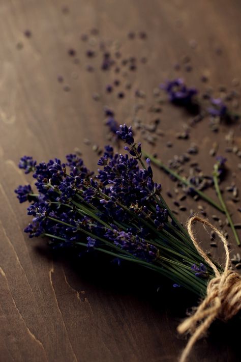 https://flic.kr/p/taSZFp | 033 | lavender Lavender Herb, Essential Oils Herbs, Lavender Aesthetic, Lavender Nails, Lavender Plant, Lovely Lavender, Dried Lavender, Lavender Flowers, Flower Images