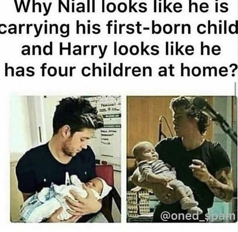 One Direction Jokes, Harry Styles Memes, One Direction Edits, One Direction Images, Harry Styles Funny, 1d Funny, Direction Quotes, One Direction Quotes, One Direction Photos