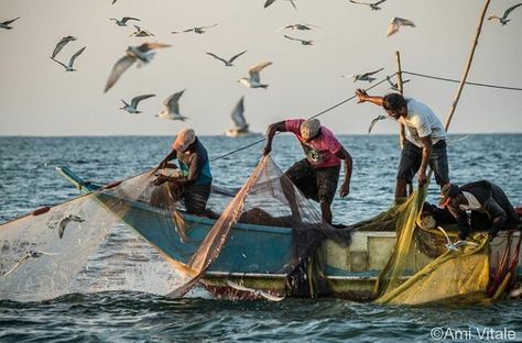 Srilanca Fishing Pictures Photography, Sri Lanka Art, National Geographic Cover, Fishing Photography, Fishing Pictures, Village Photography, Boat Painting, Landscape Art Painting, Sea Fishing