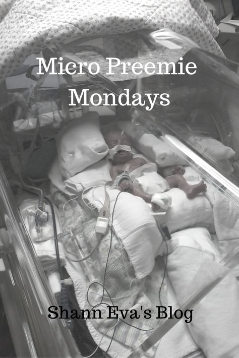 Please title your message: Micro Preemie Monday or NICU Experience, Name of Your Child, Date I publish stories in the order received. #babies #premature https://www.shanneva.com/submit-micro-preemie-story/ Dad Birthday Quotes, Father Son Quotes, Premature Birth, Neonatal Nurse, Micro Preemie, Bob Marley Quotes, Memorial Poems, Preemies, Country Girl Quotes