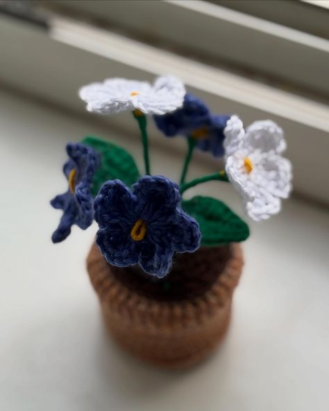 Forget me Not Flower Pot Dm for Orders. #flowerpot #crochet #forgetmenot #berlín Crochet Forgetmenot, Forget Me Not Flower, Forget Me Not, Flower Pot, Flower Pots, Crochet, Flowers, Quick Saves