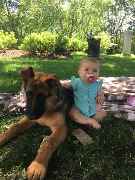 German shepherd puppy and baby.. too cute! Mom Inspo, Gsd Puppy, German Shepherd Puppy, Future Vision, Human Babies, Gsd Puppies, Shepherd Puppy, Shepherd Dogs, Boy Dog