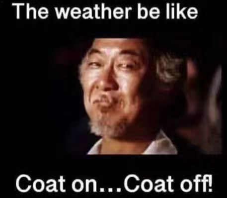 Rain Humor, Weather Humor, Off Color Humor, Winter Humor, Mother Nature Quotes, Weather Memes, Funny Weather, Weather Quotes, Passive Money