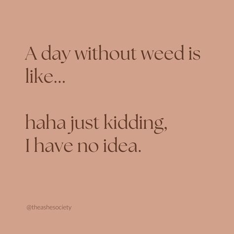 Devils Lettuce, High Quotes, Funny Day Quotes, Quotes For Instagram, Creativity Quotes, Caption Quotes, Relatable Post Funny, Short Humor, Mom Quotes