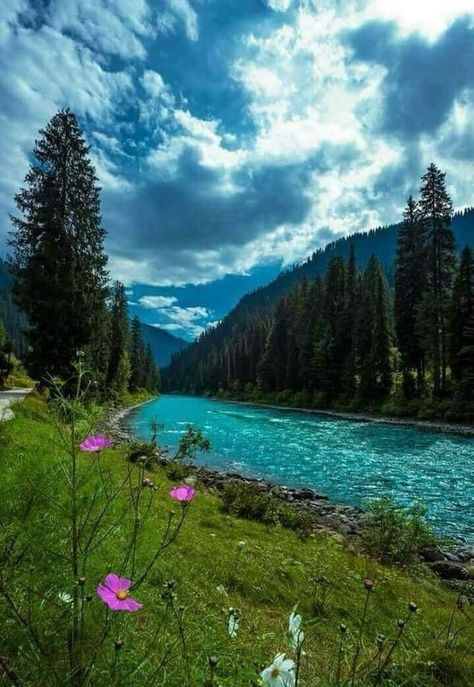 #northern #valley #pakistan #photography #photooftheday #phoot #islamicaesthetic #beauty Gurez Valley Kashmir, India Asthetic Pics, Kashmir Aesthetic Pictures, Kashmir Flowers, Kashmir Landscape, Kashmir Pics, Kashmir Culture, Kashmir Photography, Kashmir Aesthetic