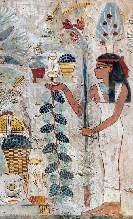 Ancient Egyptian Painting, Tree Goddess, Starověký Egypt, Egyptian Painting, Egyptian Artifacts, Ancient Egypt Art, Egypt History, Egyptian Culture, Egypt Art