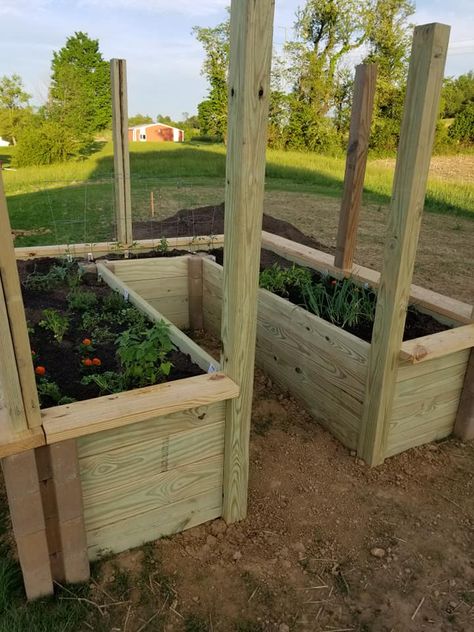 Walk In Raised Garden Beds, L Shaped Raised Garden Beds Diy, U Shaped Garden Bed Layout, U Shape Raised Garden Beds, U Shaped Raised Garden Beds Diy, Raised Garden Beds With Fence, L Shaped Raised Garden Bed, U Shaped Garden Bed, U Shaped Raised Garden Beds