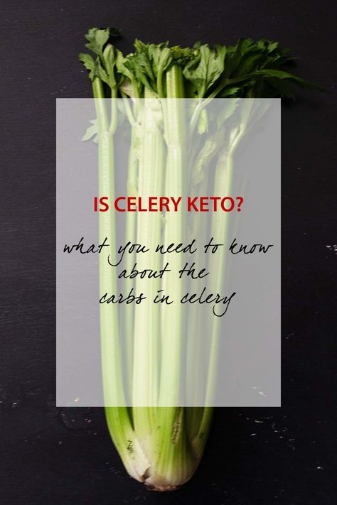 Is Celery Keto? Let's Dish About the Carbs in Celery. - The Keto Queens Keto Celery, Celery Recipes, What Can I Eat, Best Fat Burning Foods, 140 Pounds, Nutrition Guide, My Career, Good Health Tips, Proper Nutrition