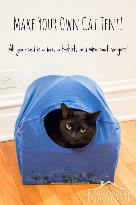 Diy Old Tshirts, Diy Cat Tent, Wire Coat Hangers, Kat Diy, Tent Bed, Beds Diy, Cat Tent, Bed Tent, Coat Hangers