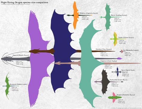 Flight Rising dragon size comparison by Incoherrant Flight Rising Dragons, Dragon Size Comparison, Dragon Anatomy, Types Of Dragons, Flight Rising, Wings Of Fire Dragons, Dragon Sketch, Fantasy Beasts, Fire Dragon