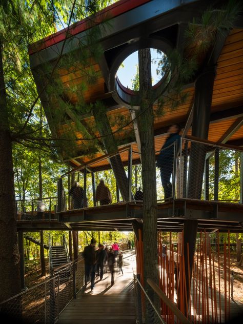 Building Around Trees Architecture, Forest Architecture, Tree Architecture, Forest Inspired Architecture, Forest Canopy Light, Pavilion In Forest, Tree Canopy Architecture, Eco Resort Architecture, Midland Michigan