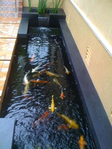 Fish Ponds Backyard, Indoor Pond, Koi Pond Design, Garden Landscaping Ideas, Kolam Koi, Fish Pond Gardens, Backyard Ponds, Taman Air, Small Pond