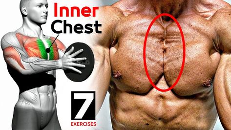 BEST 7 EXERCISES "INNER CHEST" 🔥 inner chest workout, inner chest exercises, best chest workout, mass building chest workout, chest workout for mass, chest workout science, inner pectorals, truth about the inner chest, best inner chest exercises, chest exercises, chest workout #INNER_CHEST #خط_الوسط_لصدر #مهووس_عضلات Men's Fitness Beat Inner Chest Workout, Chest Workout For Mass, Workout Chest, Chest Workout Routine, Mass Building, Chest Exercises, Best Chest Workout, Weight Training Workouts, Chest Workouts