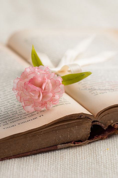 An Open Book, Book Flowers, Flowers Petals, Cat Air, Magical Moments, Sugar Art, Open Book, Arte Floral, Sweet Memories