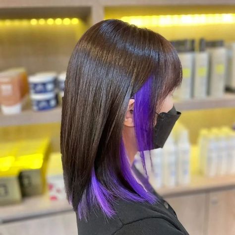 Black Hair With Peekaboo Color Purple, Pop Of Color Hair Hidden, Peekaboo Hair Color 2023, Brown Hair With Vivid Peekaboo, How To Add Peekaboo Highlights, Colorblock Hair Purple, Colorful Highlights In Black Hair, Kids Peekaboo Hair Color, Peekaboo Vivids