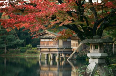 Autumn countries - this is Japan Kenrokuen Garden, Traveling Japan, Gokayama, Kanazawa Japan, Beautiful Places In Japan, Shirakawa Go, Japanese Town, Real Life Fairies, Japanese Garden Design