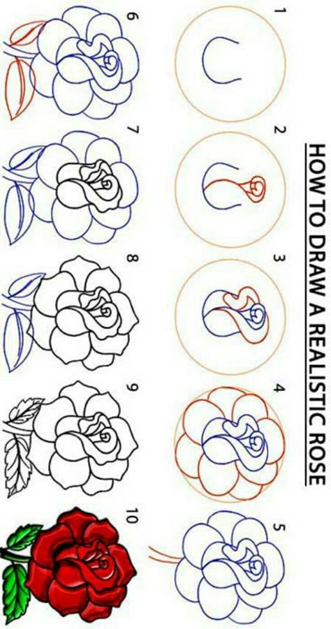 Rose Tutorial Drawing, Rose Drawing Simple Step By Step, How To Draw A Rose Step By Step, Rose Drawing Step By Step, Simple Flower Drawing Easy, How To Draw A Rose, Easy Flower Sketches, Rose Drawing Tutorial, Doodle Minimalist