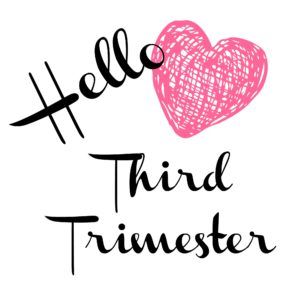 3rd Trimester Bumpdate • REFASHIONABLY LATE Hello 3rd Trimester, Diet While Pregnant, 29 Weeks Pregnant, Home Pregnancy Test, Hello July, 3rd Trimester, 5th Wedding Anniversary, Feeling Nauseous, Mom Life Quotes