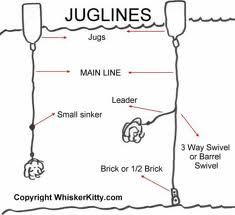 Jug lines - noodle fishing - not anchored Jug Fishing, Bass Fishing Videos, Carp Fishing Rigs, Saltwater Fishing Lures, Catfish Bait, Catfish Fishing, Trout Fishing Tips, Fishing For Beginners, Fishing Photography