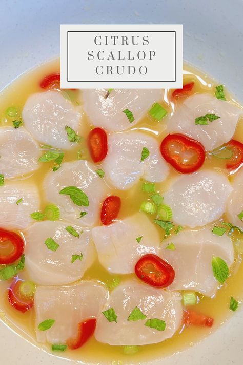 Discover the refreshing taste of Citrus and Chile Scallop Crudo! This elegant dish combines thinly sliced, delicate scallops with a vibrant dressing of citrus juice, chili, and cilantro. The acidity gently cooks the scallops, while the chili adds a subtle heat. It's a light, zesty appetizer perfect for any occasion. Cold Scallop Appetizer, Scallop Crudo, Scallop Appetizer, Spot Prawns, Salmon Dip, Crostini Recipes, Ceviche Recipe, Delicious Seafood Recipes, Scallop Recipes